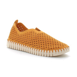 Chaussures pour femme Tulip